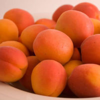 Goldbar Apricot Trees