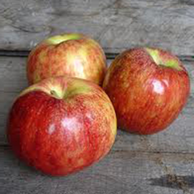 Red Gravenstein Apples